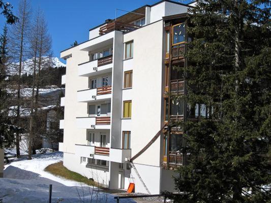 Luegisland Salietti Apartment Arosa